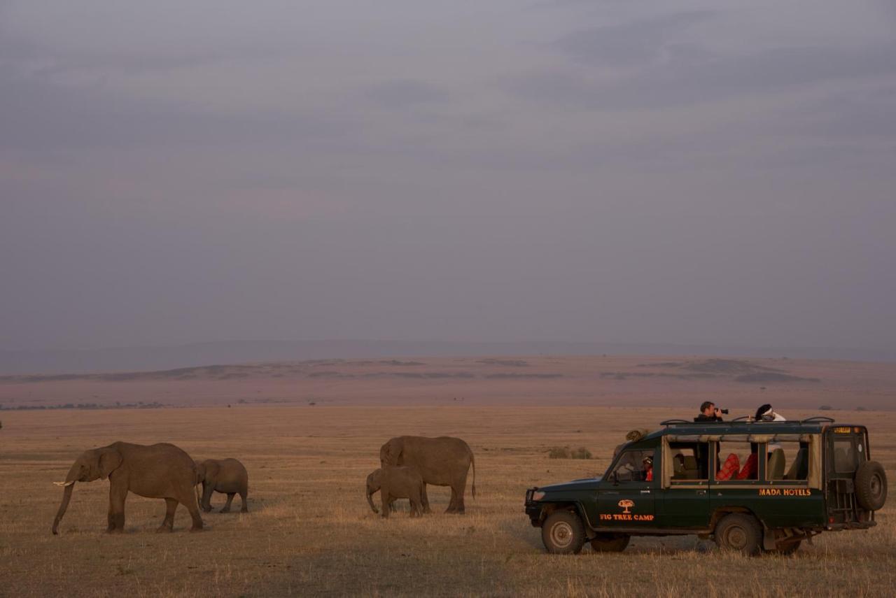 Fig Tree Camp - Maasai Mara Hotel Talek Buitenkant foto