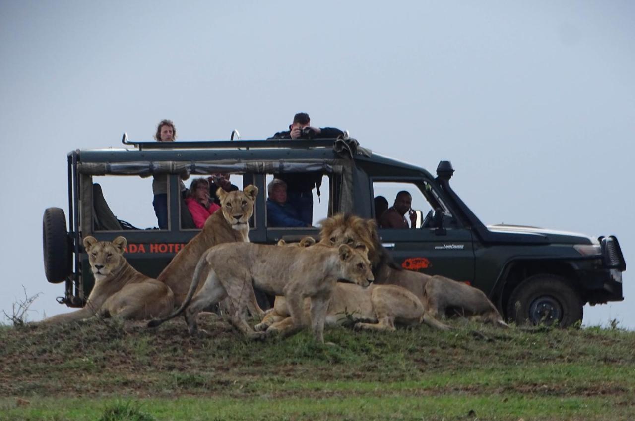 Fig Tree Camp - Maasai Mara Hotel Talek Buitenkant foto